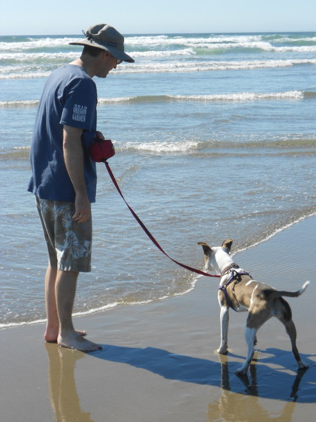 Puppy meets ocean