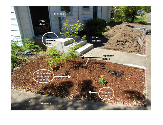 Front yard diagram