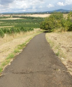 Trail from Erratic Rock