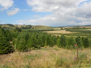 View from Erratic Rock trail