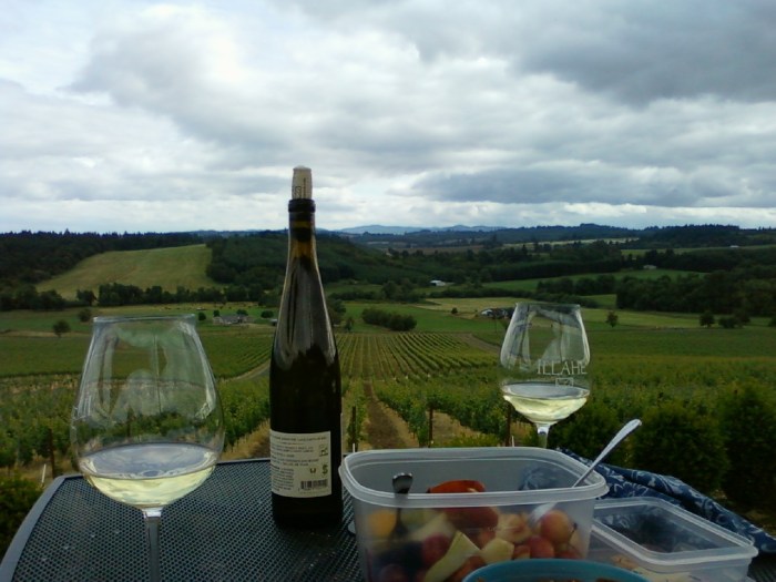 Wine bottle, glasses, food on table overlooking vineyard