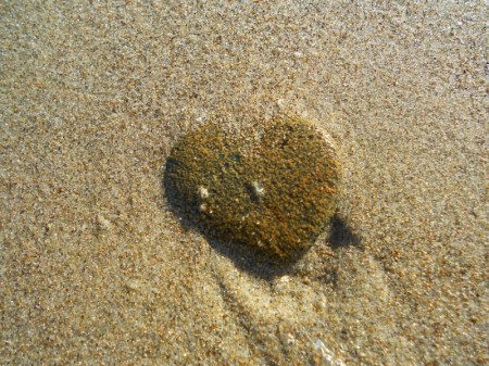 Heart-shaped rock on beach