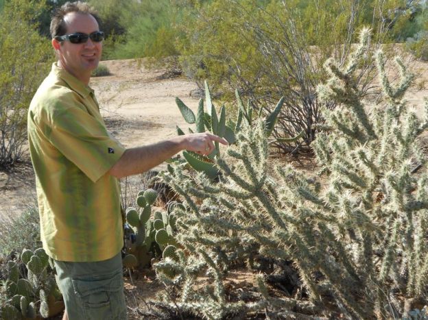 Man pointing at cactus